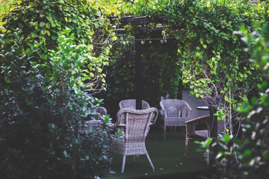 summer backyard party ideas