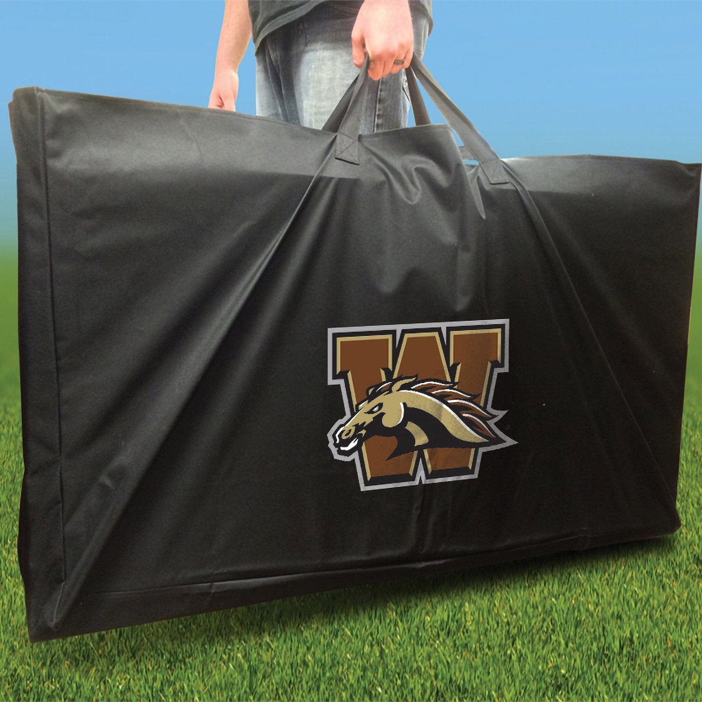 Western Michigan Broncos Slanted team logo carry case