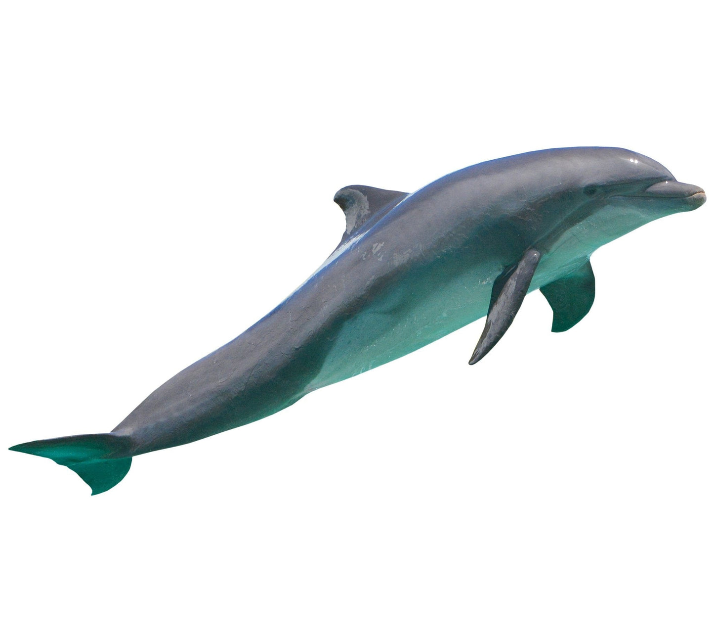 Dolphin Poolmat closeup