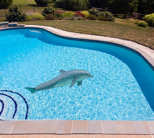 Dolphin Poolmat in water