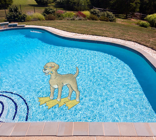 Golden Retreiver Poolmat in water