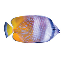 Yellow, White & Purple Fish Poolmat closeup
