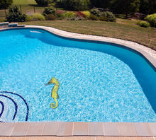 Seahorse Poolmat in water
