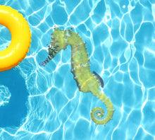 Seahorse Poolmat from above
