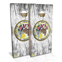Illinois Flag Cornhole Boards
