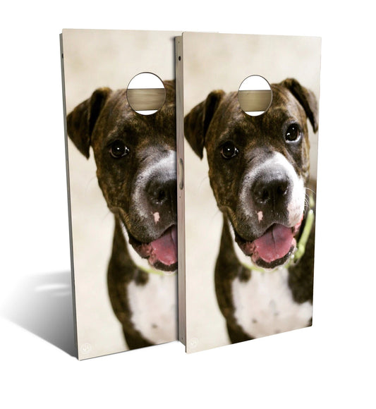 Boxer Puppy Cornhole Boards